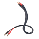 Inakustik Exz S25 Speaker 225 2x3,0m BFA SW